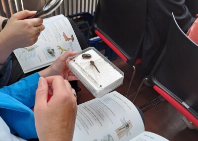 Person, die eine Lupe in der Hand hält und ein Insektenexemplar untersucht, während ein Buch aufgeschlagen ist, das Abbildungen und Informationen zu Tieren enthält; andere Personen sitzen in der Nähe.